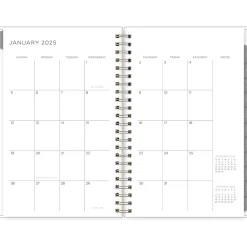 2025 Blue Sky Kelly Ventura Mimosa 5