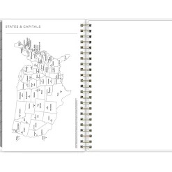 2025 Blue Sky Kelly Ventura Mimosa 5