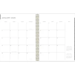 2025 Blue Sky Kelly Ventura Mimosa 8.5