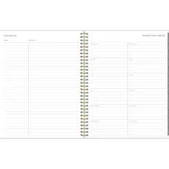 2025 Blue Sky Kelly Ventura Mimosa 8.5