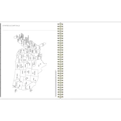2025 Blue Sky Kelly Ventura Mimosa 8.5