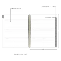 2025 Blue Sky Kelly Ventura Mimosa 8.5
