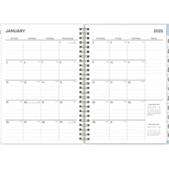 2025 Blue Sky Kiera 5.88