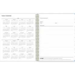 2025 Blue Sky Kiera Blue 8.5