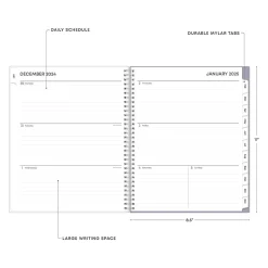 2025 Blue Sky Laila 8.5