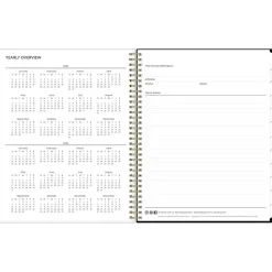 2025 Blue Sky Laina Dark 8.5