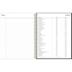 2025 Blue Sky Laina Dark 8.5
