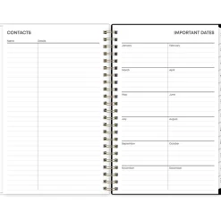 2025 Blue Sky Laina Dark 5