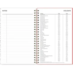 2025 Blue Sky Lanissa 5