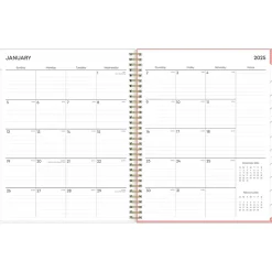 2025 Blue Sky Lanissa 8.5