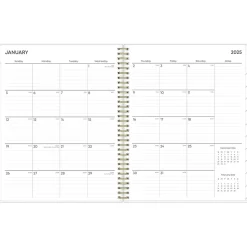 2025 Blue Sky Laurel 8.5