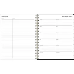 2025 Blue Sky Lolani 8