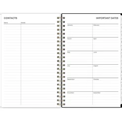 2025 Blue Sky Lolani 5