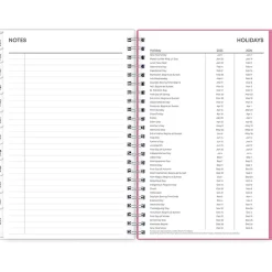 2025 Blue Sky Lucidity 5