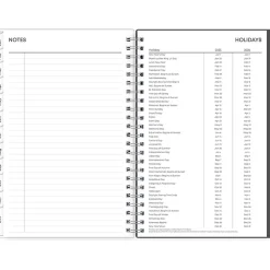 2025 Blue Sky Montauk 5