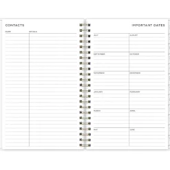 2024-2025 Blue Sky Multicolor Smoke 5