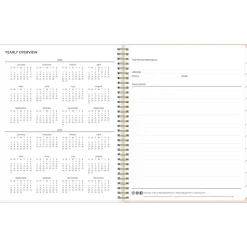2025 Blue Sky Natalya 8.5