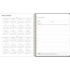 2025 Blue Sky Nevaeh 8