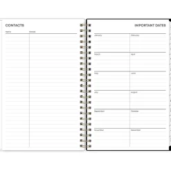 2025 Blue Sky Nevaeh 5