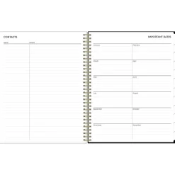 2025 Blue Sky Nevaeh 8.5