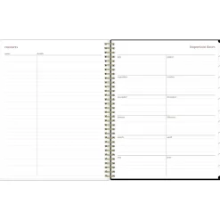 2024-2025 Blue Sky Nyla 8.5