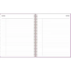 2025 Blue Sky Orchid 8