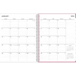 2025 Blue Sky Orchid 8.5