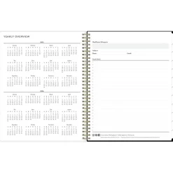 2025 Blue Sky Petiti 8.5