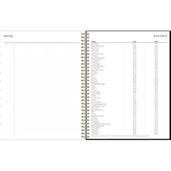 2025 Blue Sky Petiti 8.5