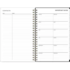 2025 Blue Sky Petiti 5