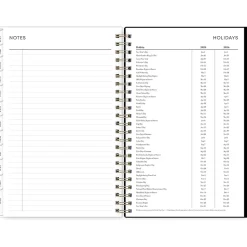 2025 Blue Sky Petiti 5