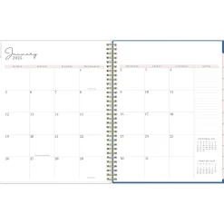 2025 Blue Sky Rachel Parcell Tressa 8.5