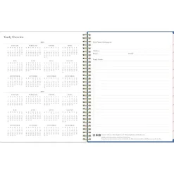 2025 Blue Sky Rachel Parcell Tressa 8.5