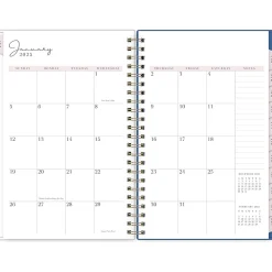 2025 Blue Sky Rachel Parcell Tressa 5