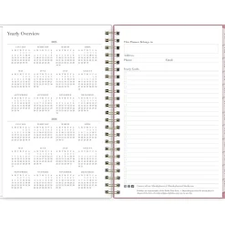 2025 Blue Sky Rachel Parcell Rose 5