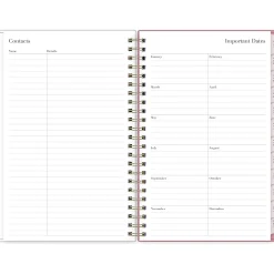 2025 Blue Sky Rachel Parcell Rose 5