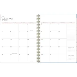 2025 Blue Sky Rachel Parcell Parcella 8.5