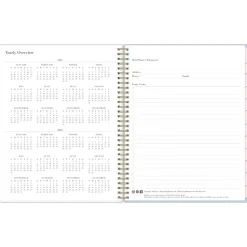 2025 Blue Sky Rachel Parcell Parcella 8.5