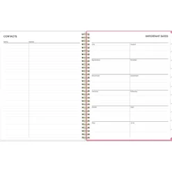 2024-2025 Blue Sky Roosevelt 8.5