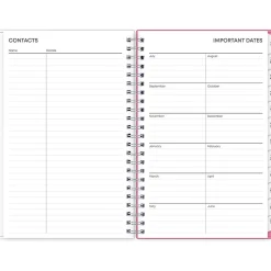 2024-2025 Blue Sky Roosevelt 5