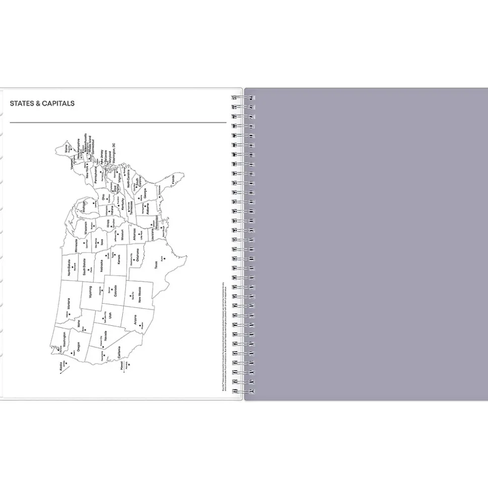 2025 Blue Sky Rue Du Flore 8.5" x 11" Weekly & Monthly Planner, Plastic Cover, Green/Gray (101602-25)