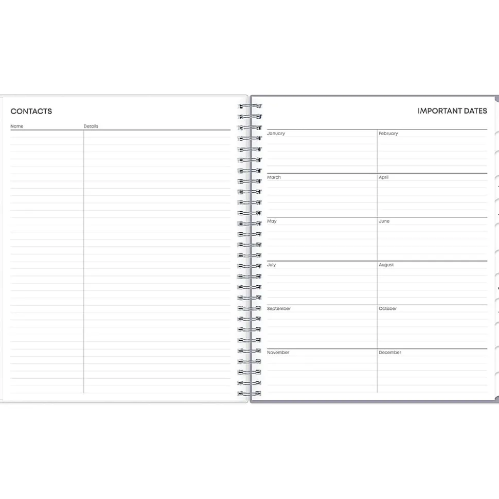 2025 Blue Sky Rue Du Flore 8" x 10" Monthly Planner, Plastic Cover, Green/Gray (101605-25)