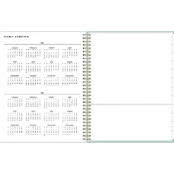 2024-2025 Blue Sky Sandra Check 8.5