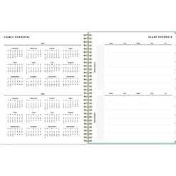 2024-2025 Blue Sky Sandra Check 8.5