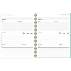 2024-2025 Blue Sky Sandra Check 8.5