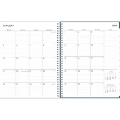 2025 Blue Sky Savoy Cool 8.5