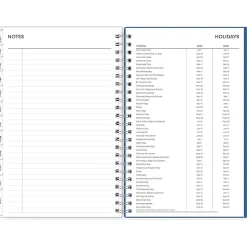 2025 Blue Sky Savoy Cool 5