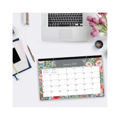 2025 Blue Sky Sophie 17