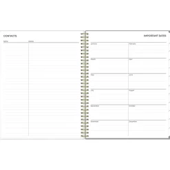 2025 Blue Sky Sophie 8.5