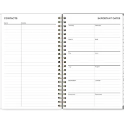 2025 Blue Sky Sophie 5